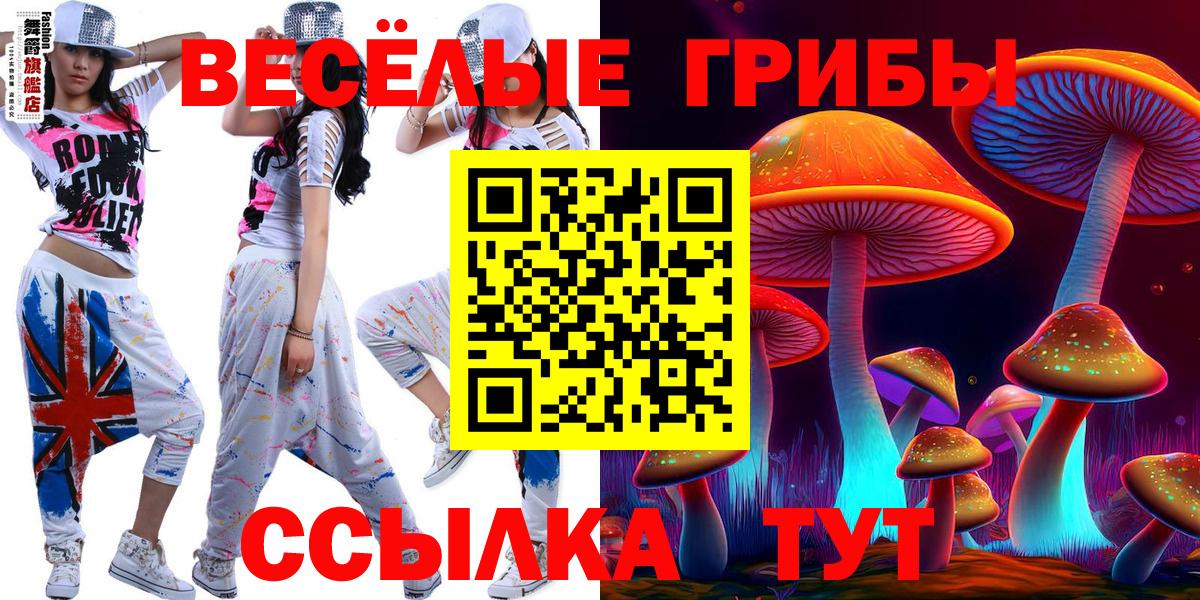 Ногинск  что такое наркотик  Вход с VPN  Галлюциногенные грибы прущие грибы 